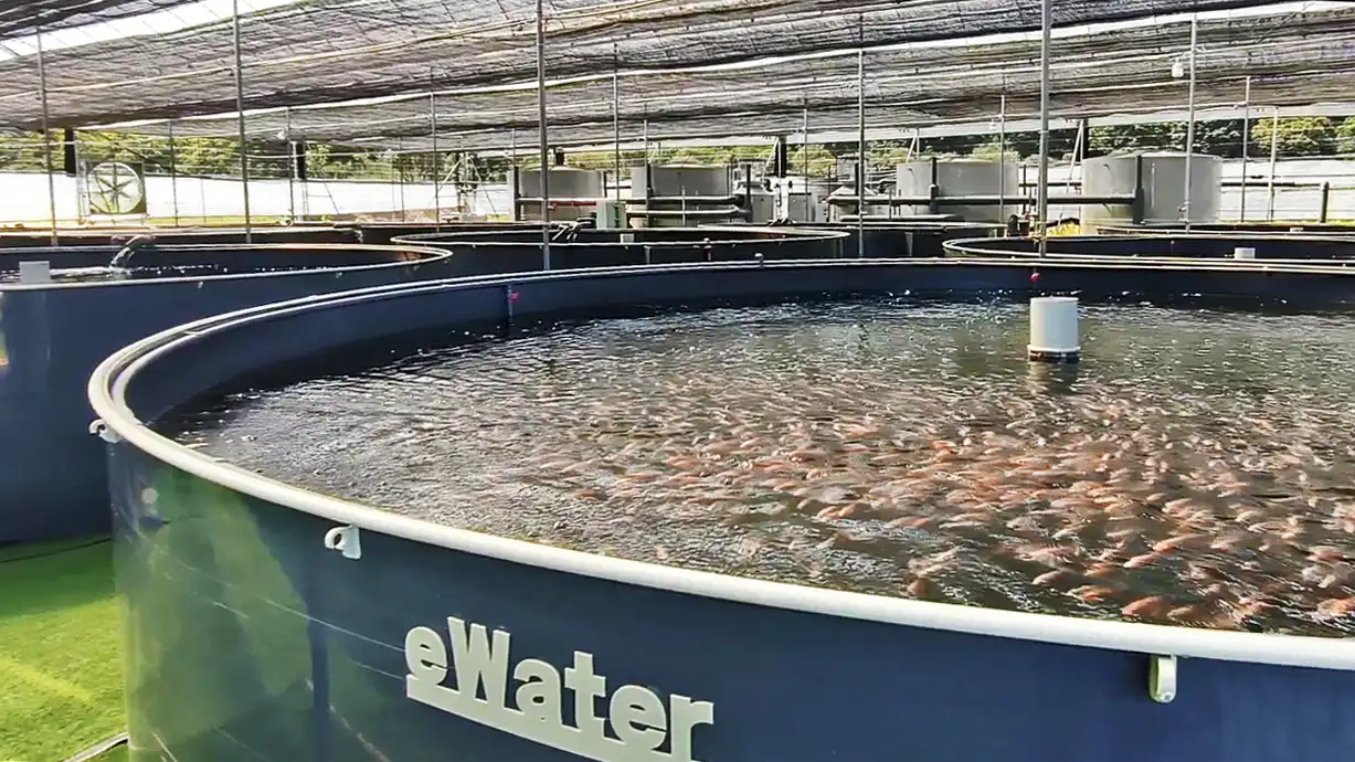 eWater's own project