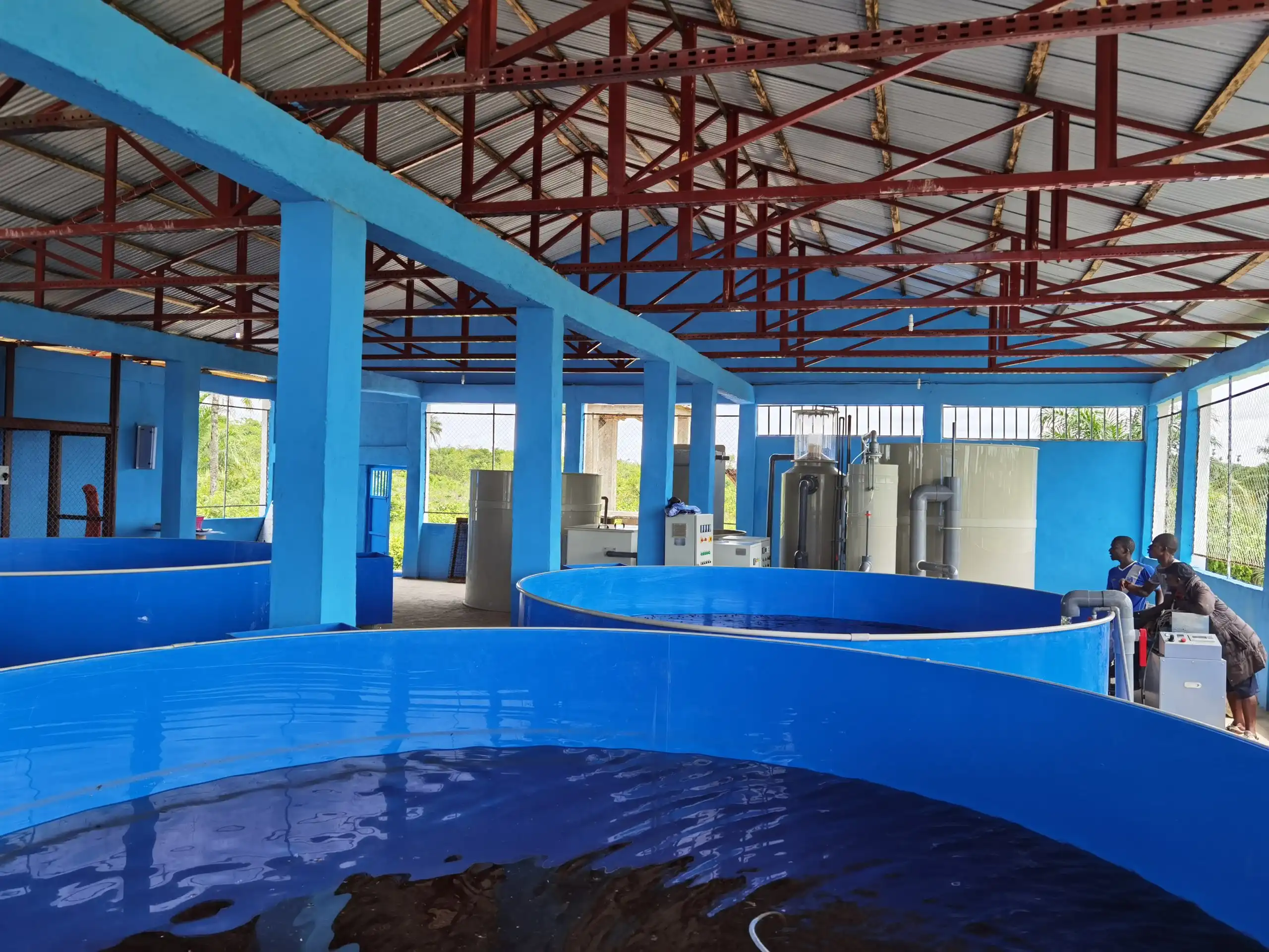 Tilapia Grow-out System